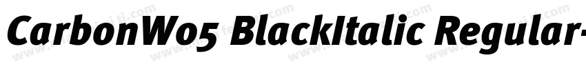 CarbonW05 BlackItalic Regular字体转换